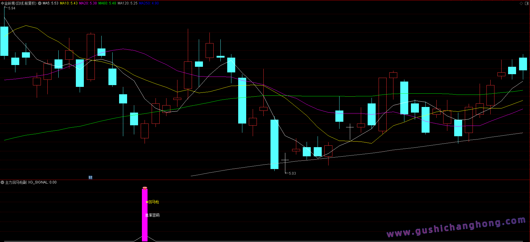 主力回马枪指标