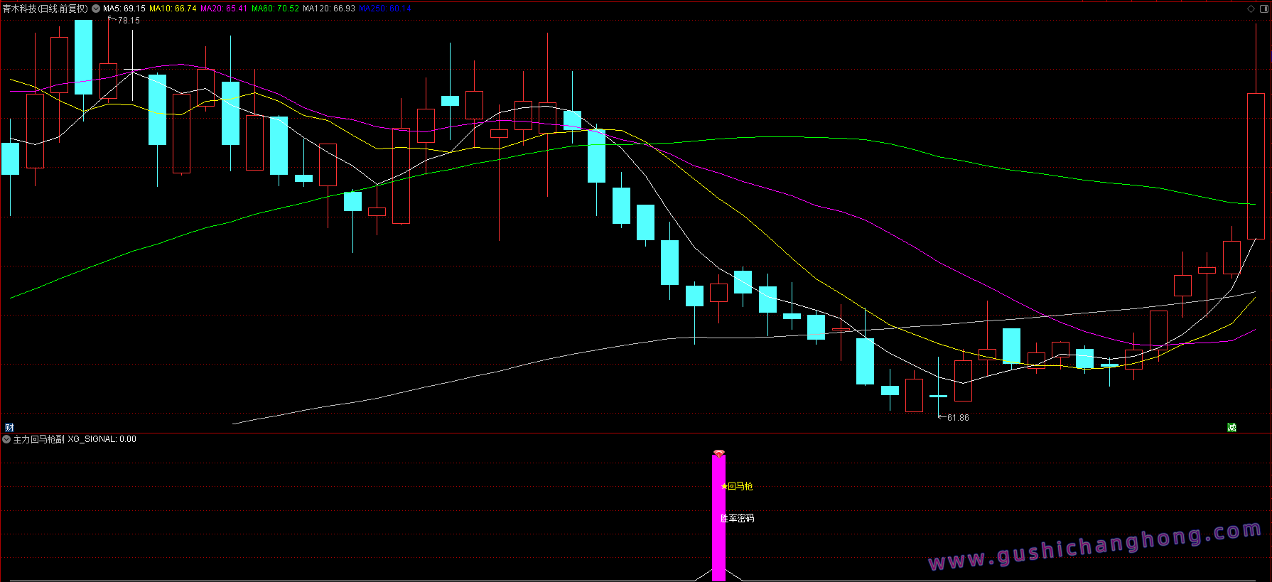 主力回马枪指标