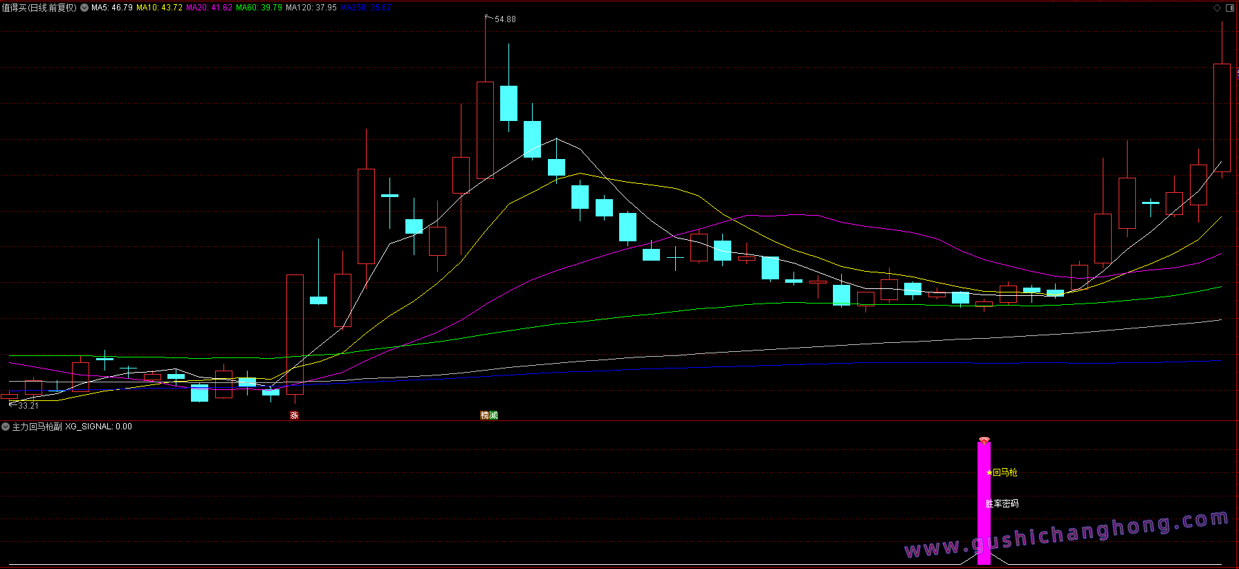 主力回马枪指标