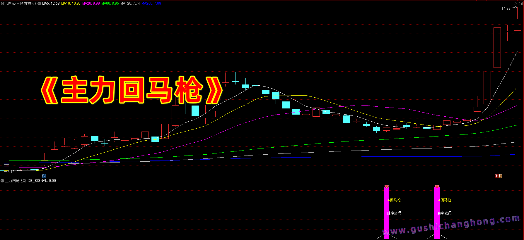主力回马枪指标