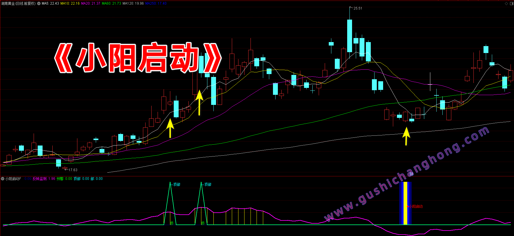 小阳启动指标 小阳启动指标