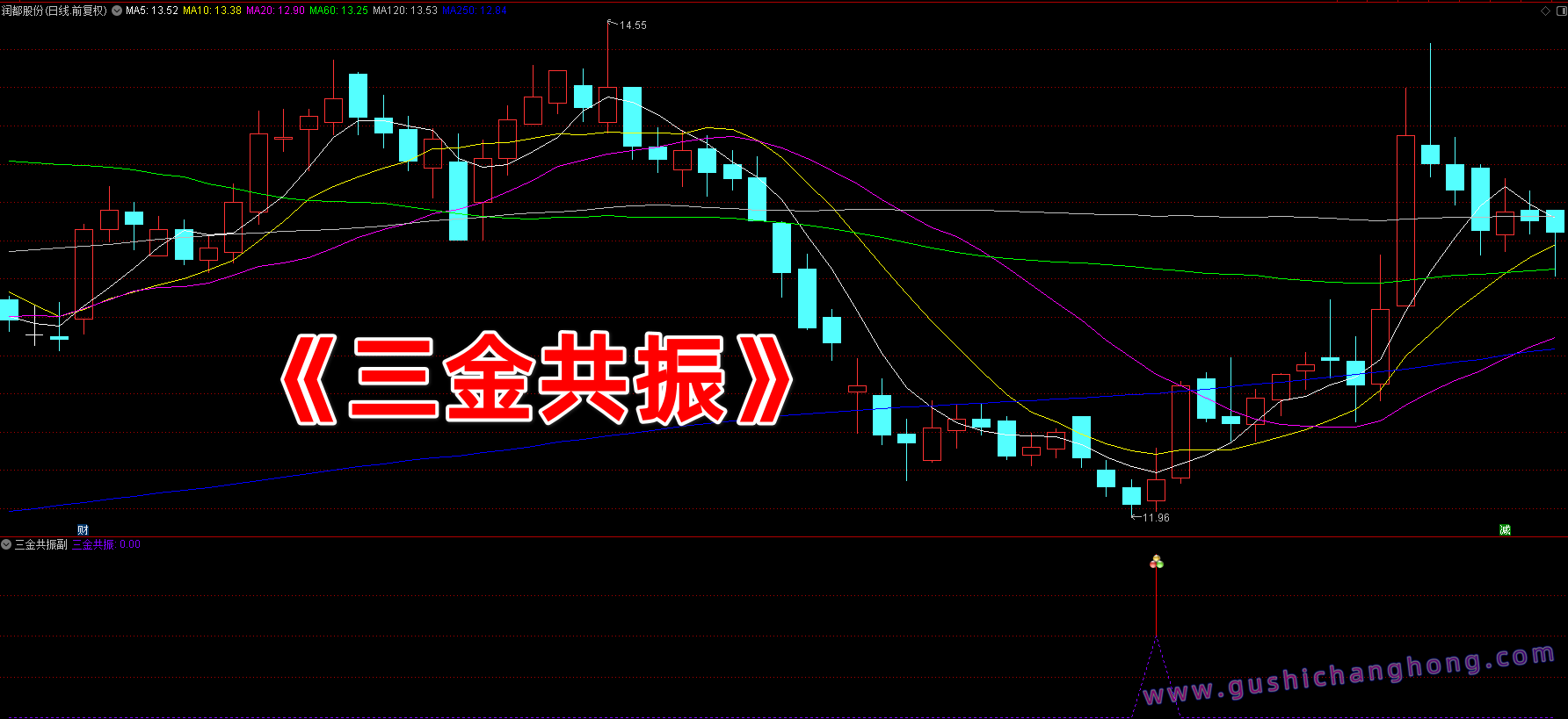 三金共振指标 三金共振指标