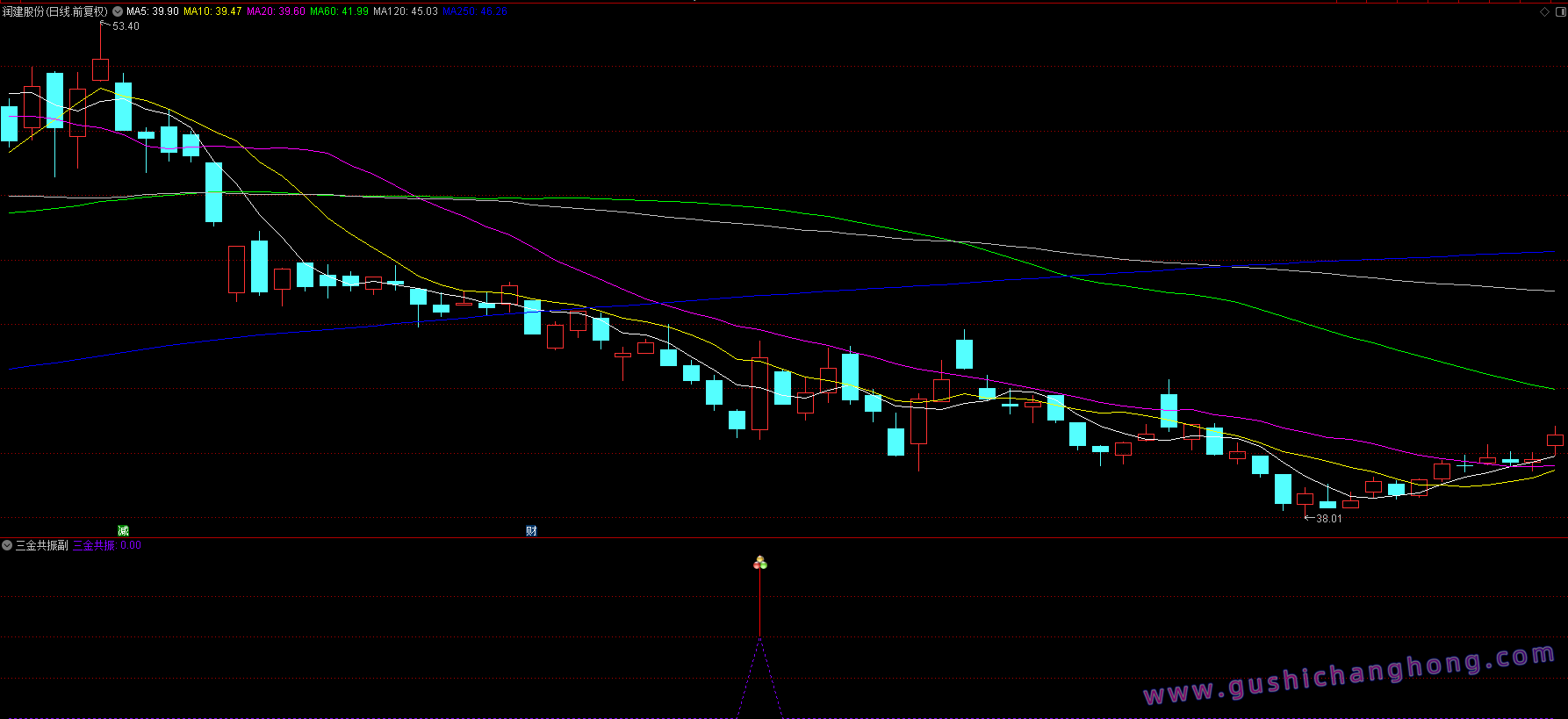 三金共振指标 三金共振指标