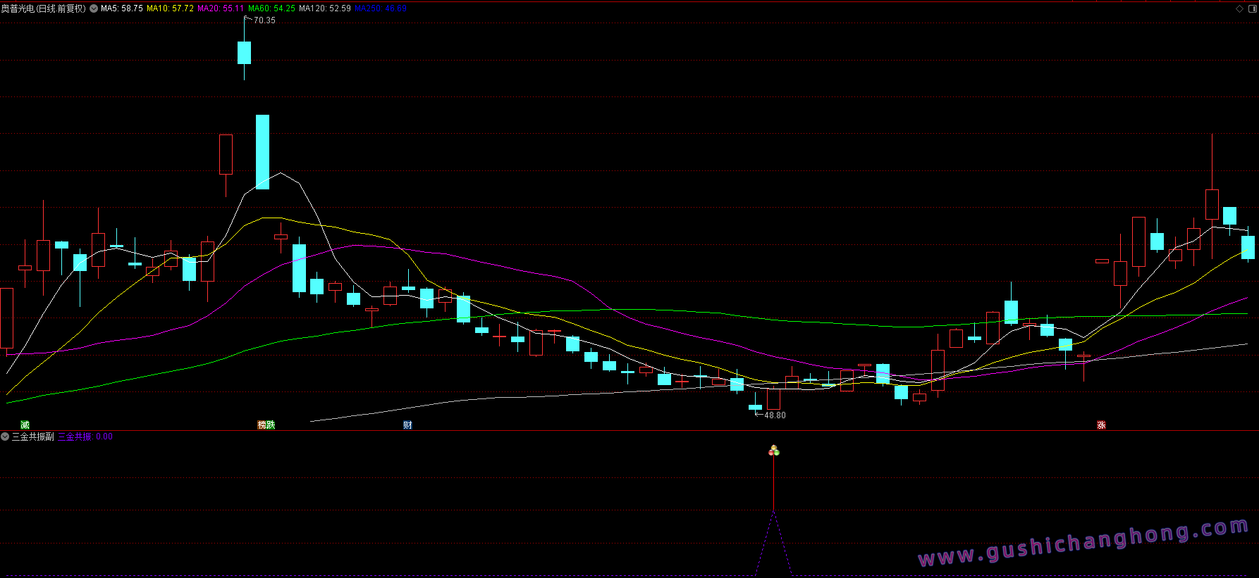 三金共振指标 三金共振指标