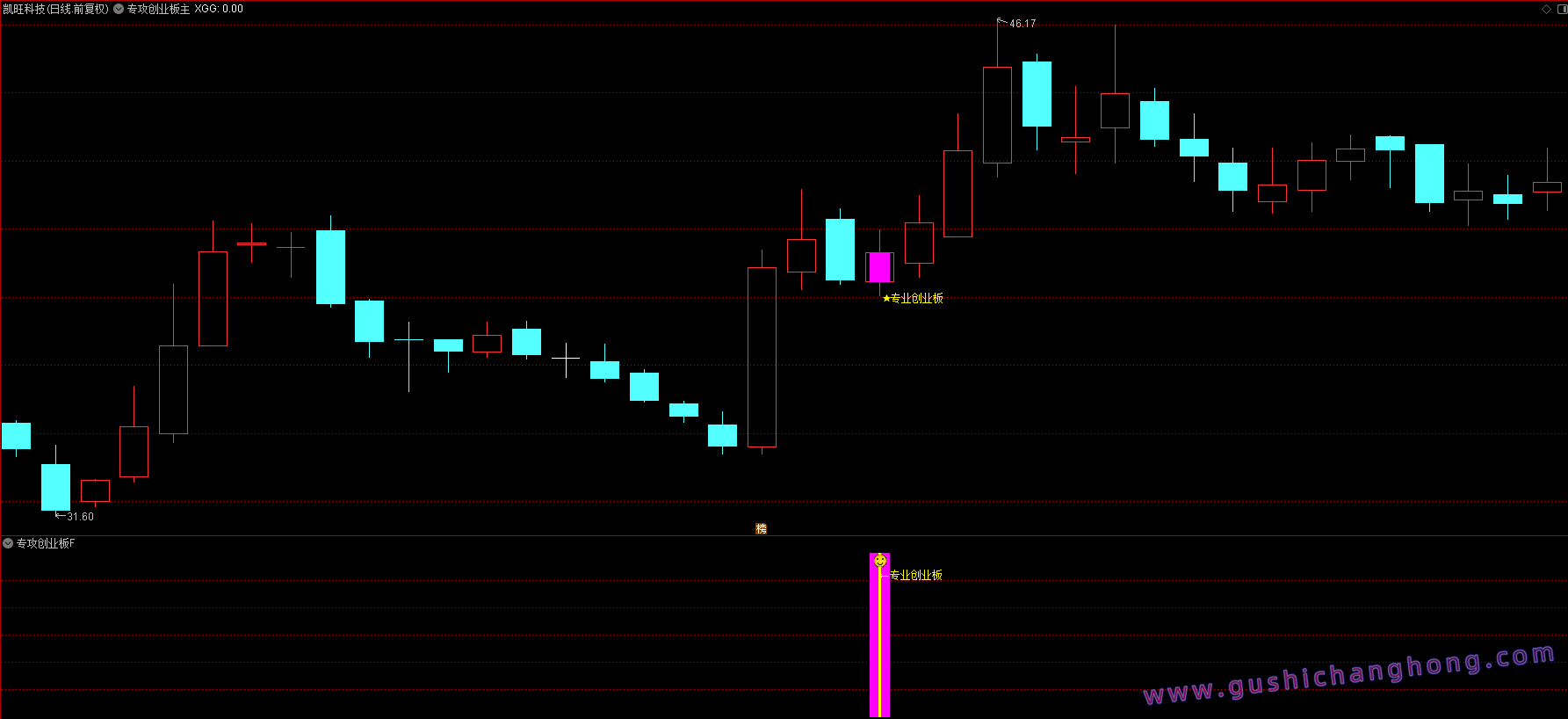 专攻创业板指标 专攻创业板指标