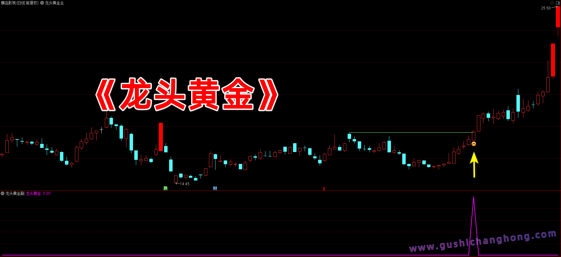 龙头黄金指标