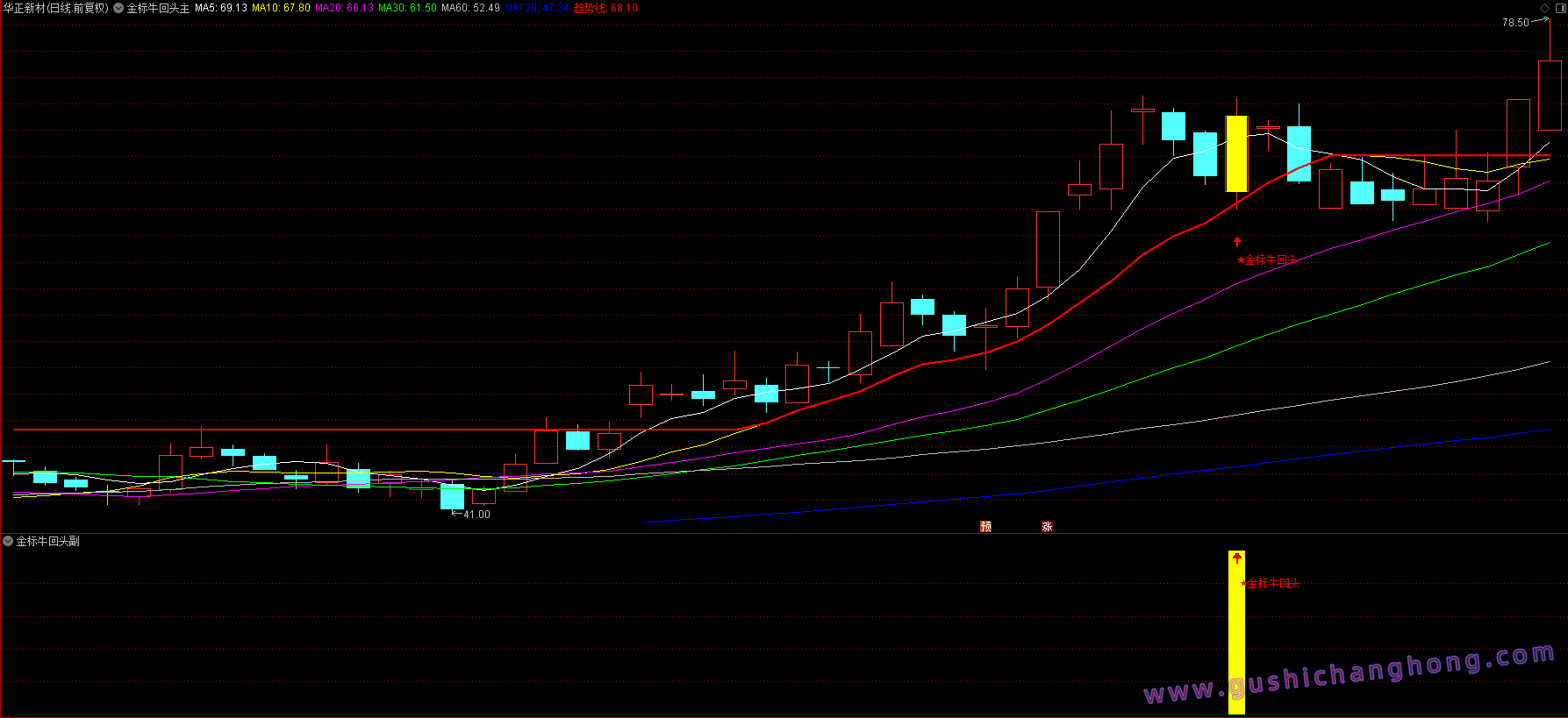 金标牛回头指标