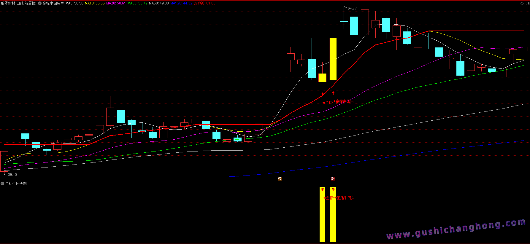金标牛回头指标