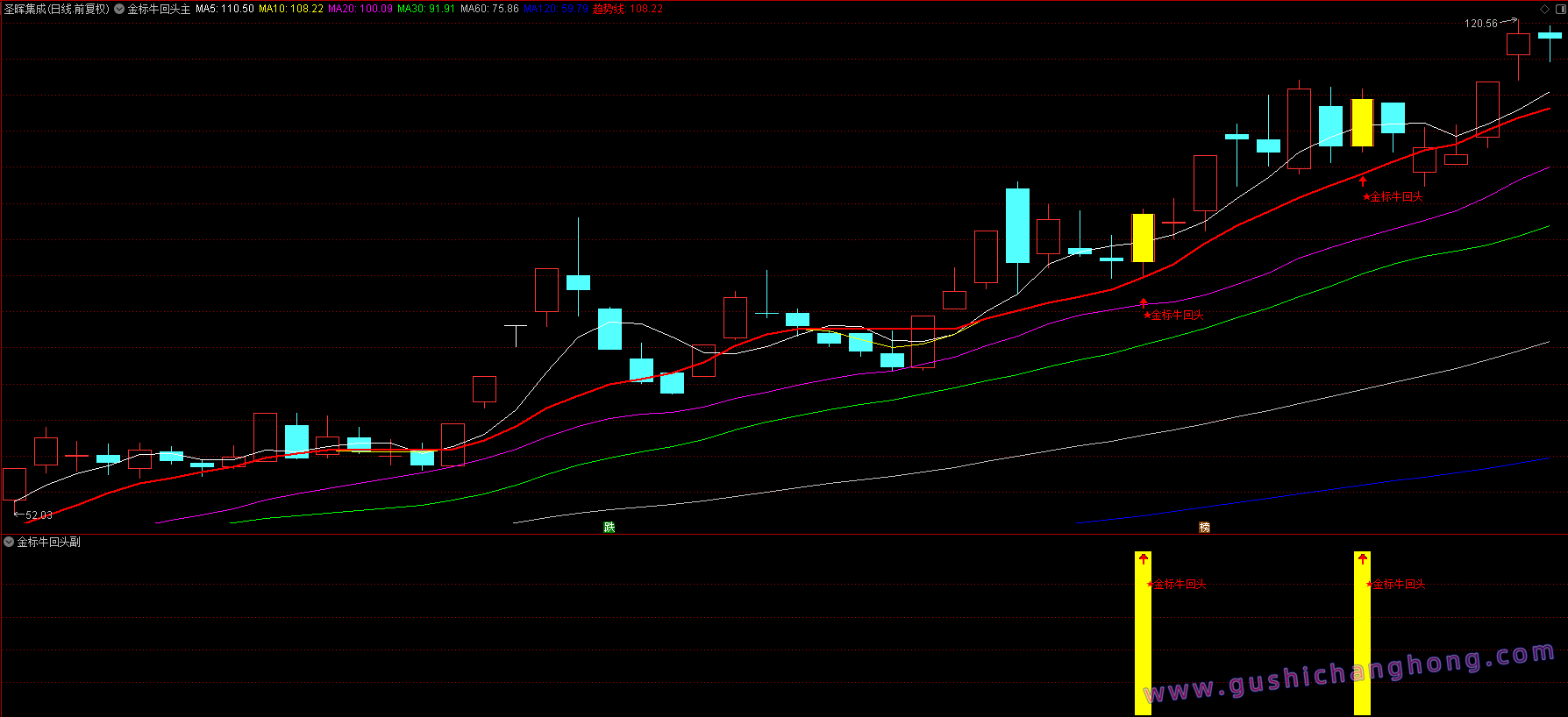 金标牛回头指标