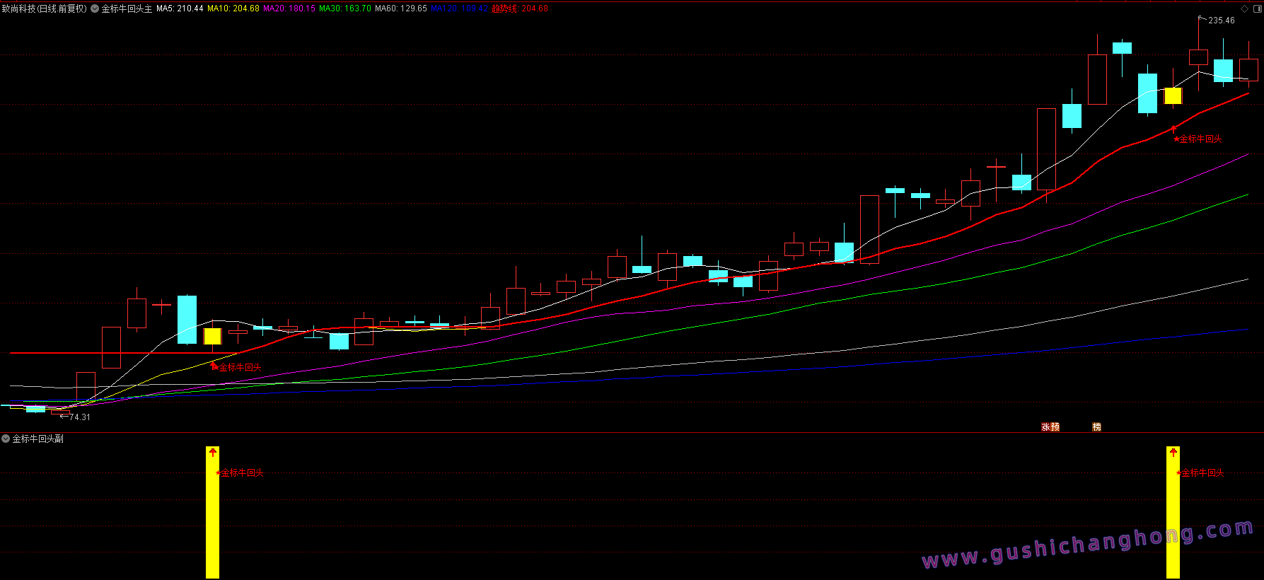 金标牛回头指标