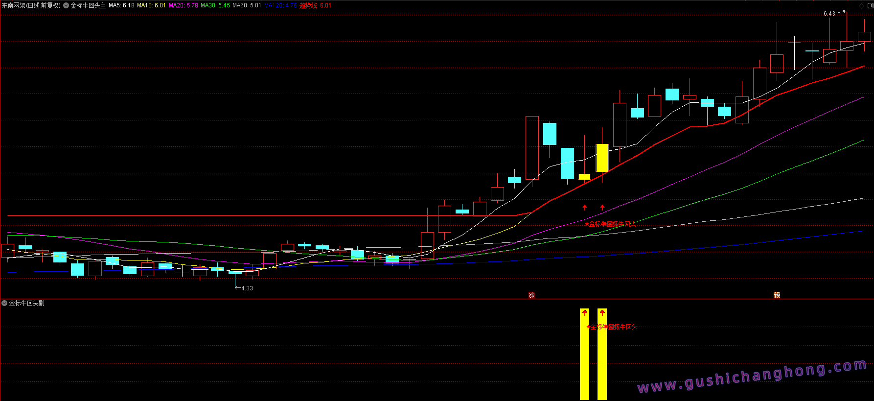 金标牛回头指标