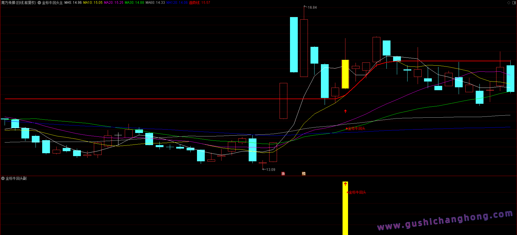 金标牛回头指标