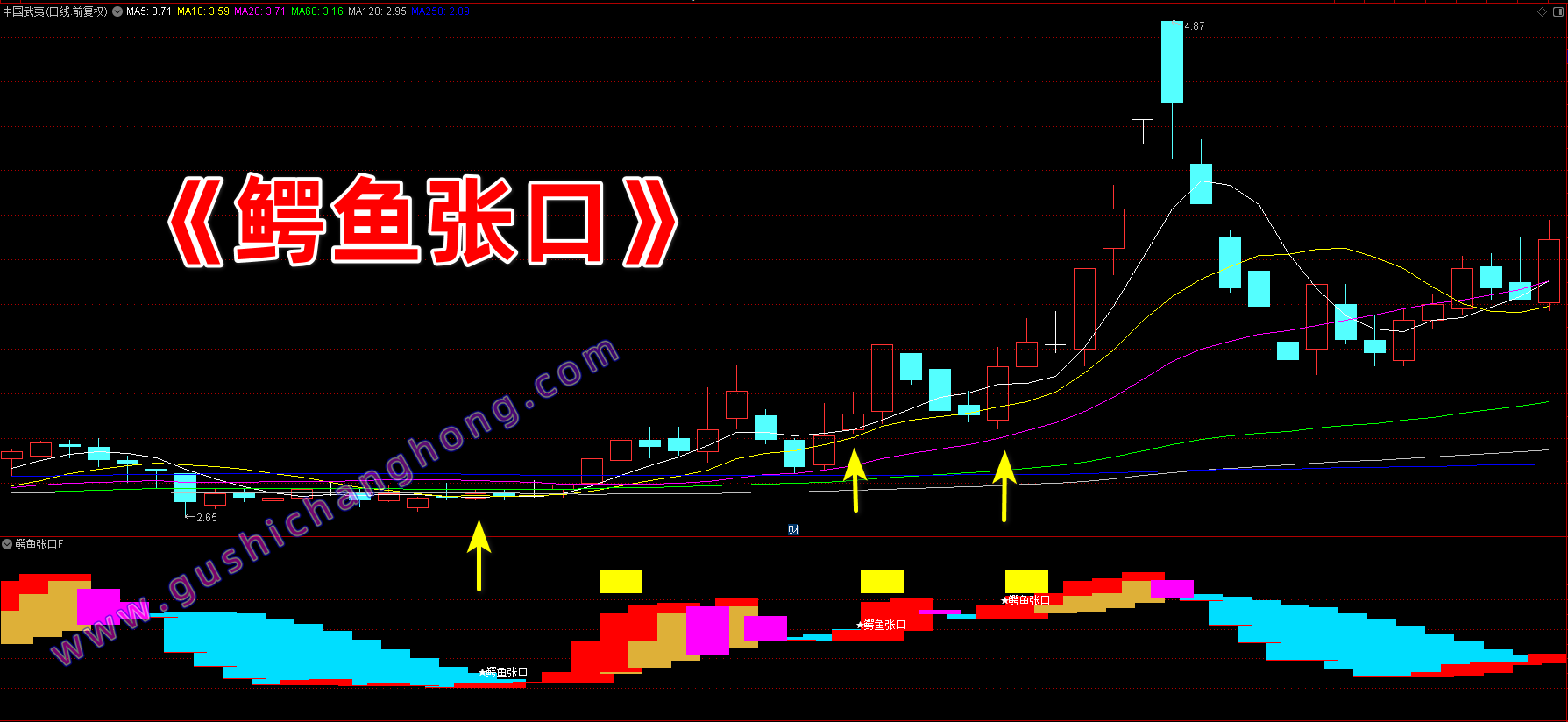 鳄鱼张口指标 鳄鱼张口指标
