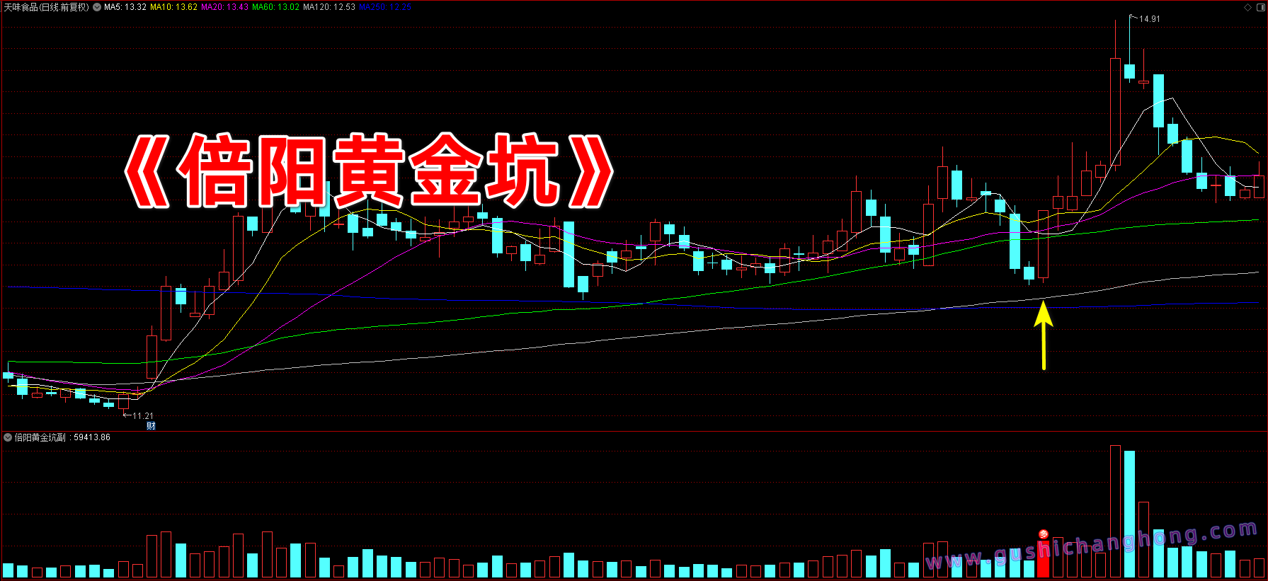 倍阳黄金坑指标 倍阳黄金坑指标