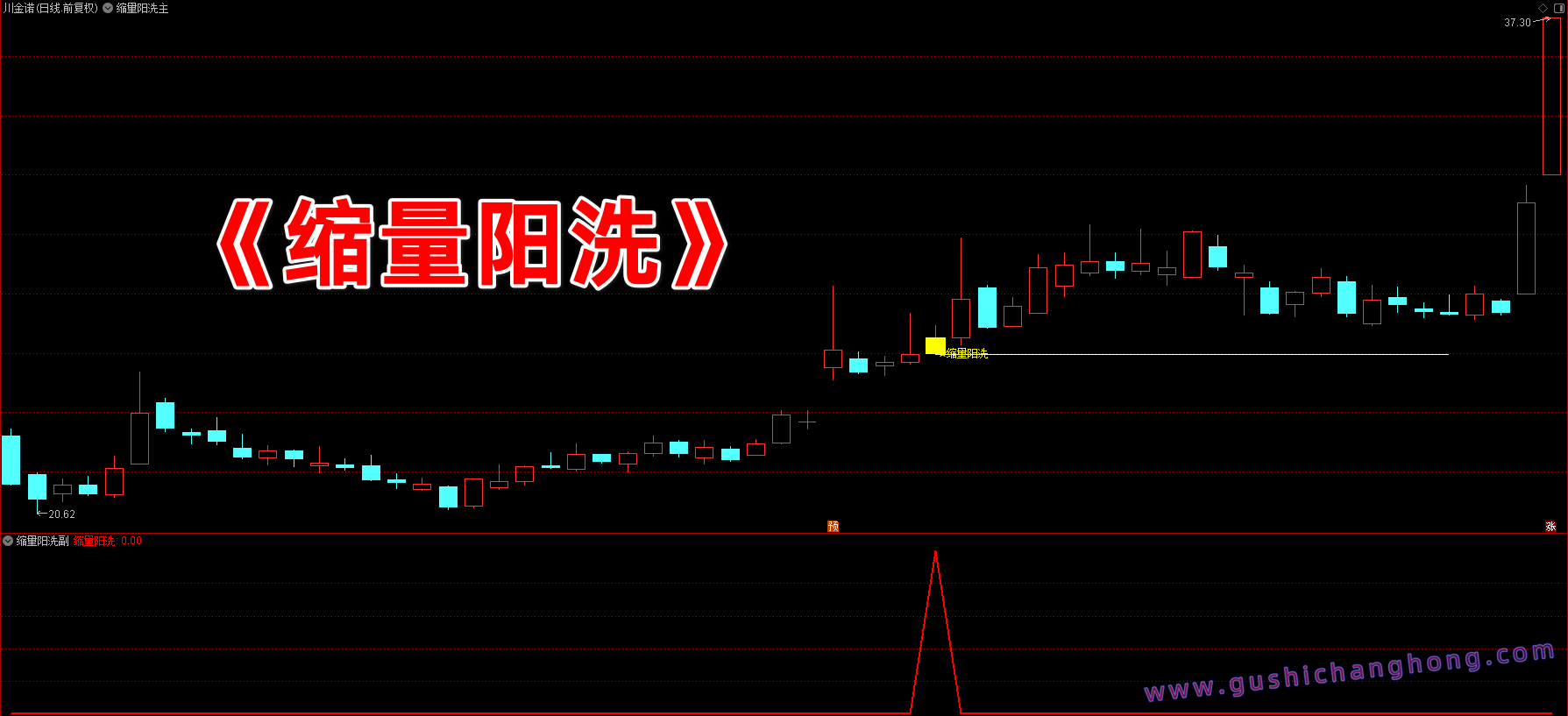 缩量阳洗指标 缩量阳洗指标