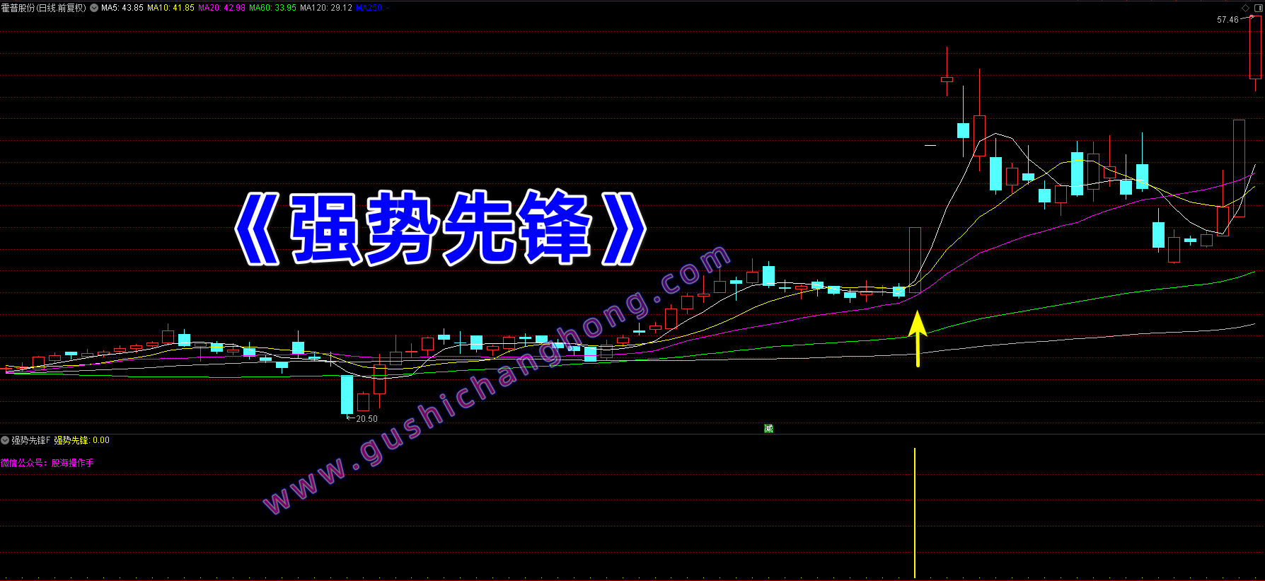 强势先锋指标 强势先锋指标