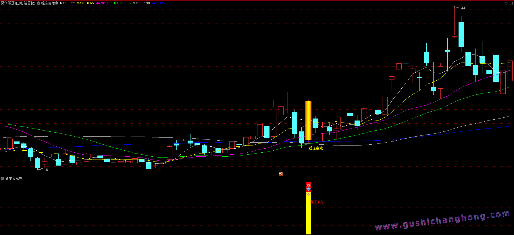 擒庄金龙指标 擒庄金龙指标