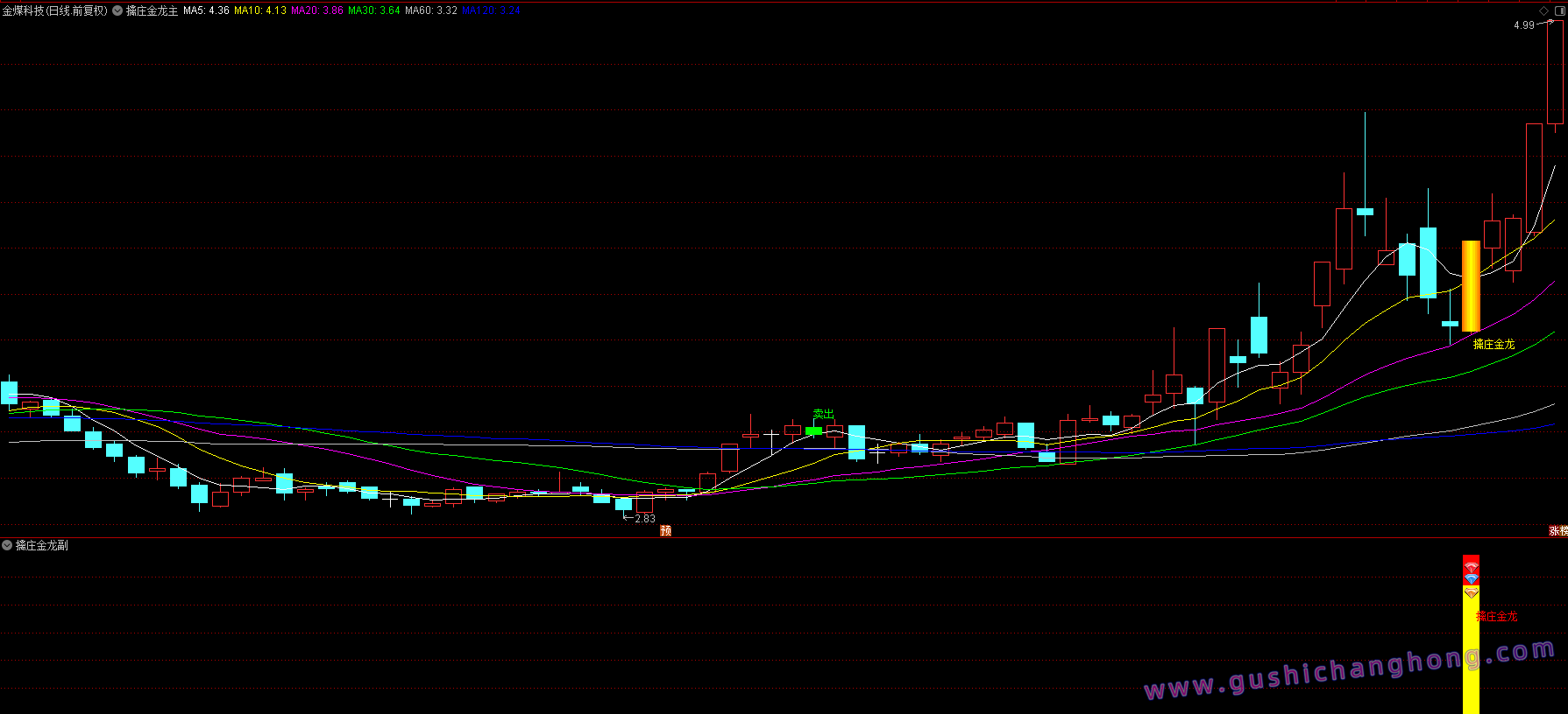 擒庄金龙指标 擒庄金龙指标