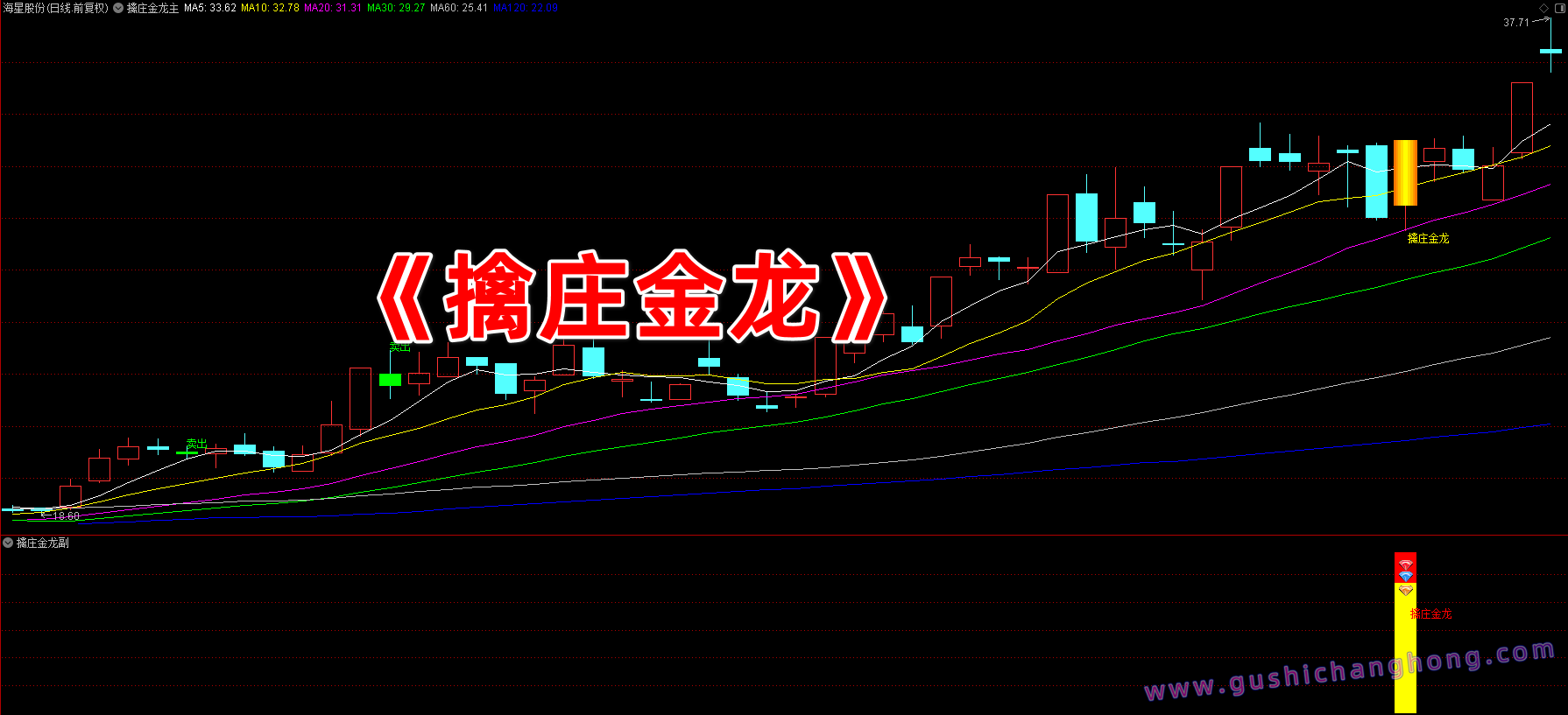擒庄金龙指标 擒庄金龙指标