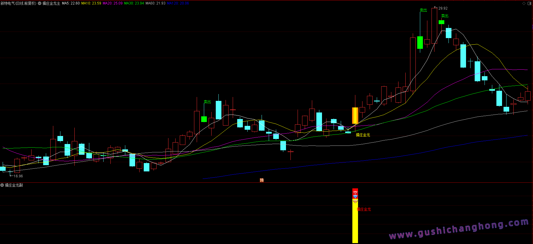 擒庄金龙指标 擒庄金龙指标