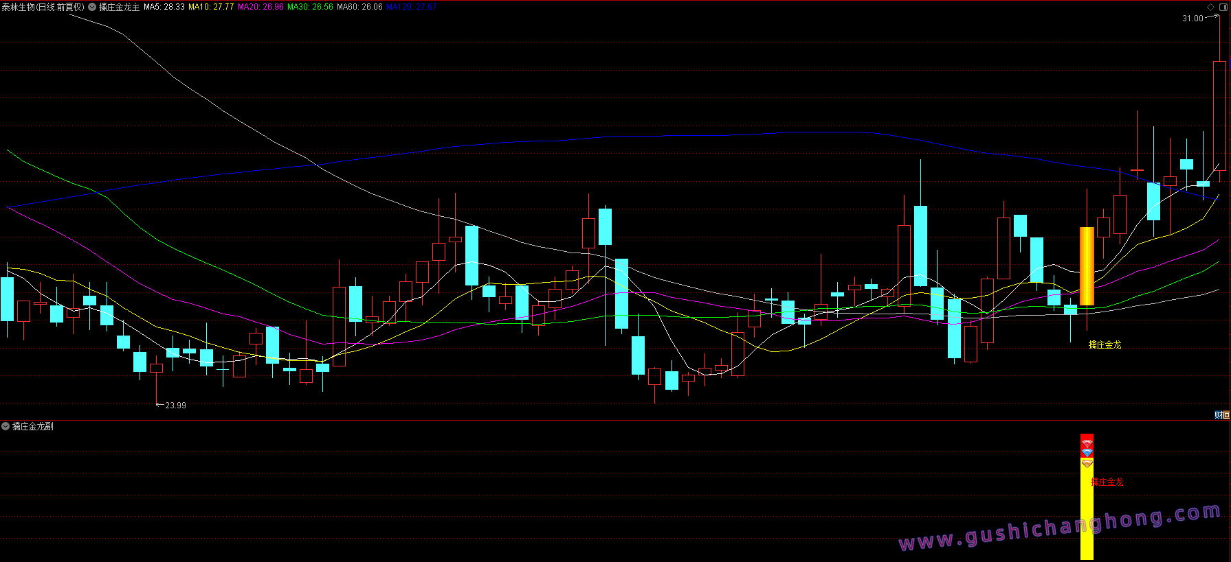 擒庄金龙指标 擒庄金龙指标
