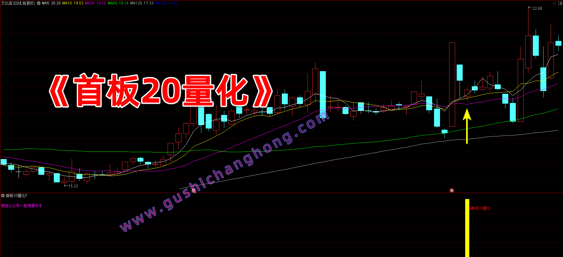 首板20量化指标 首板20量化指标