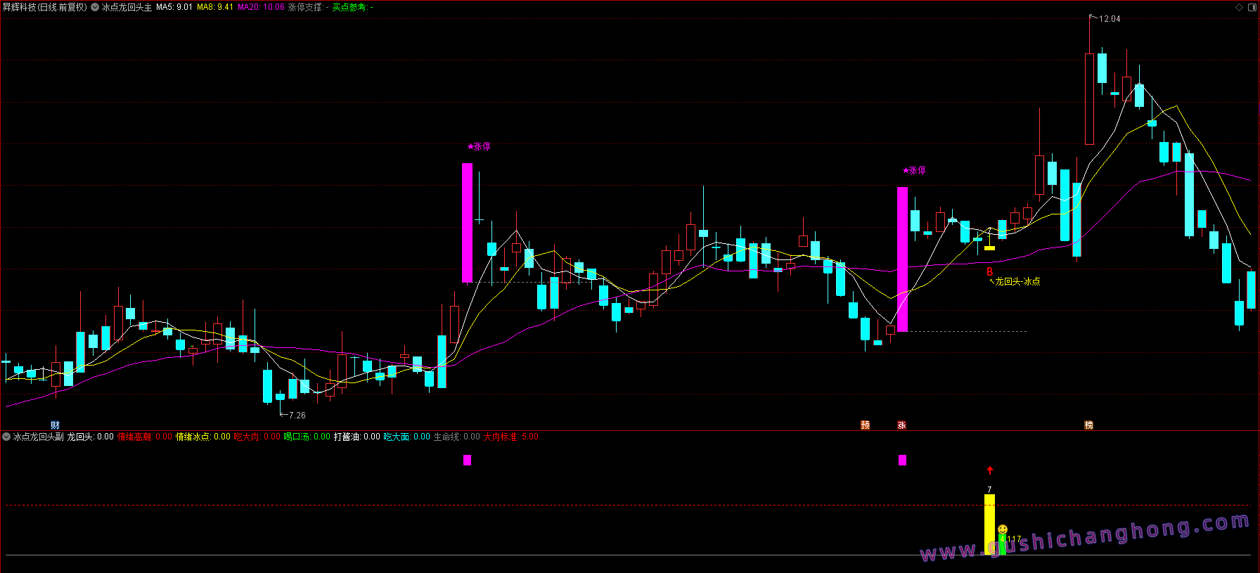 2026冰点龙回头指标