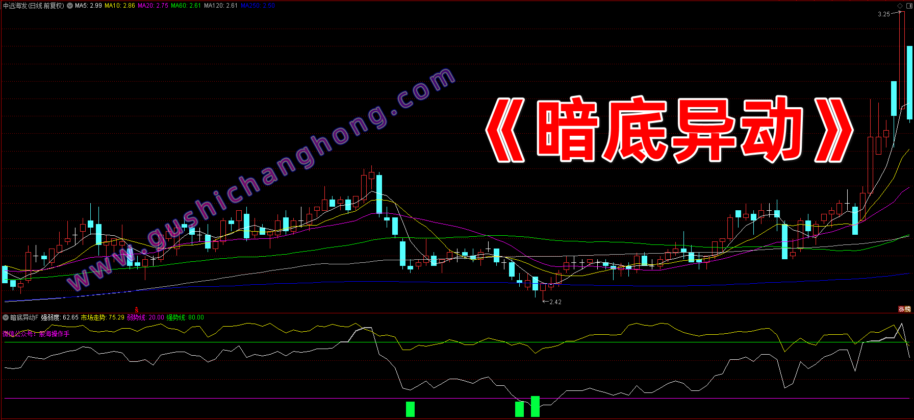 暗底异动指标 暗底异动指标
