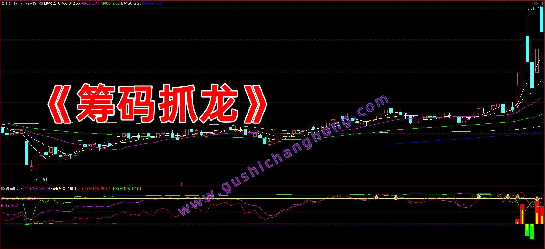 筹码抓龙指标