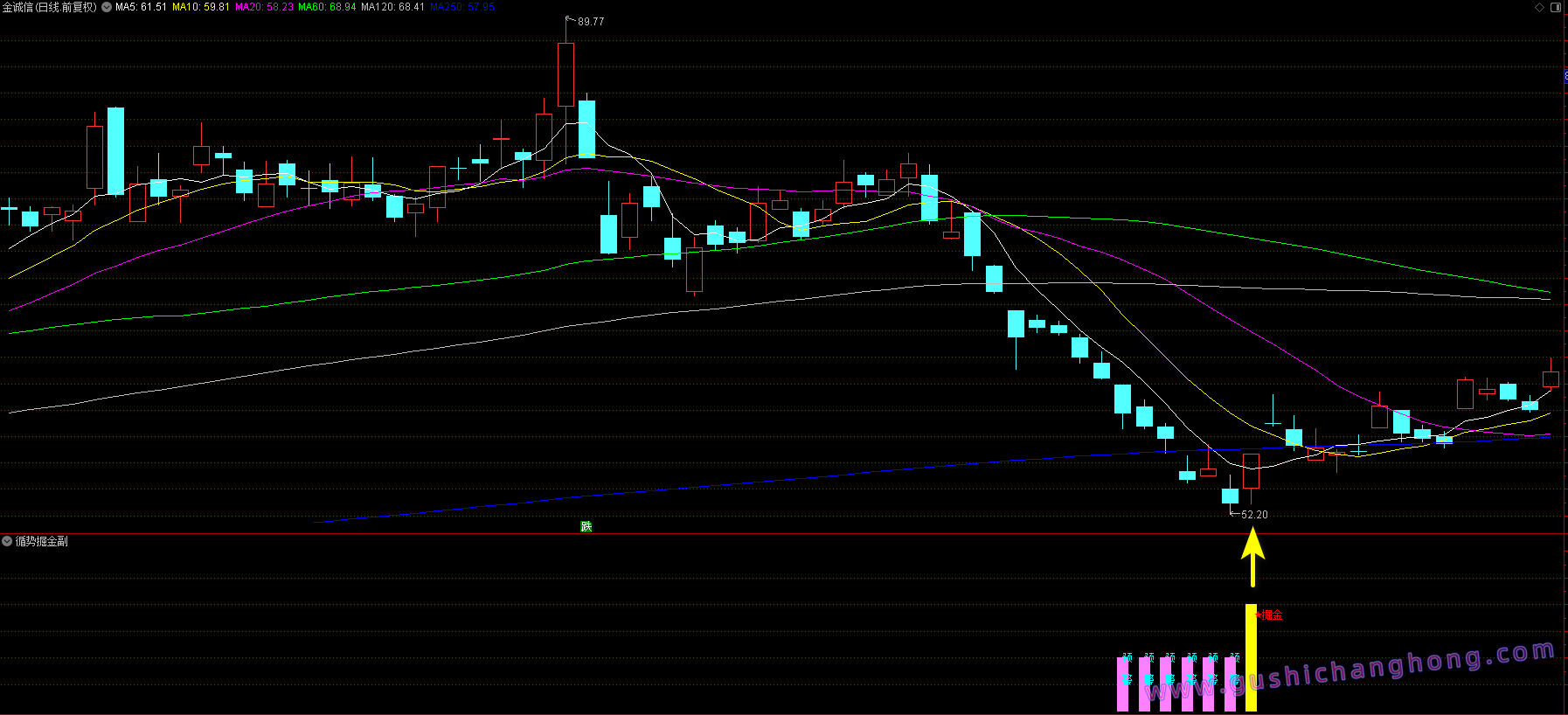 循势掘金指标 循势掘金指标