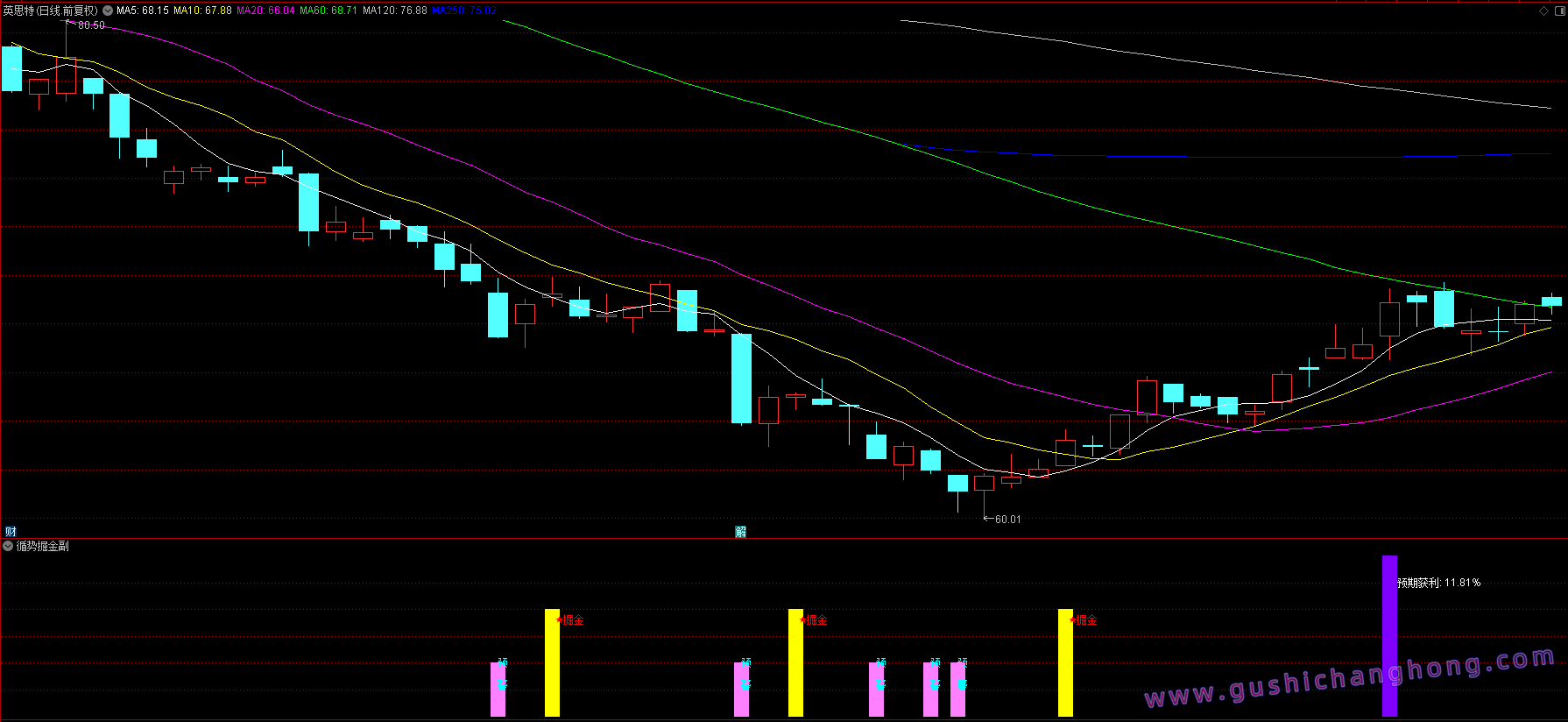 循势掘金指标 循势掘金指标