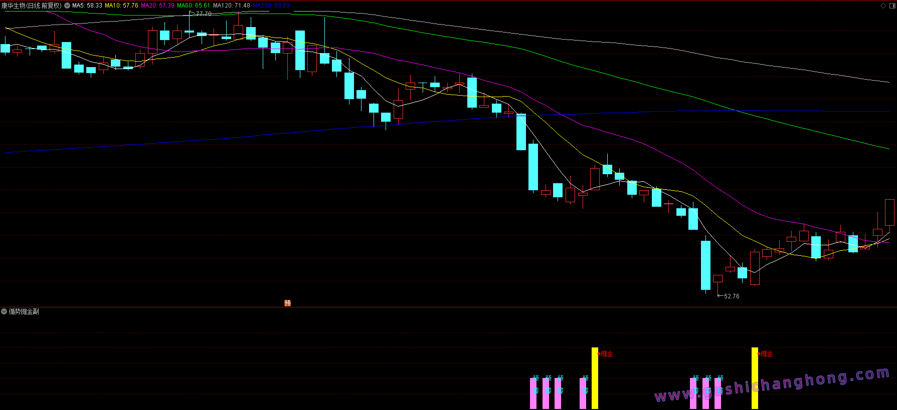 循势掘金指标 循势掘金指标