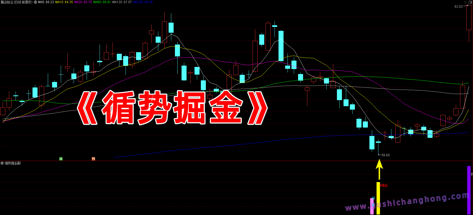 循势掘金指标 循势掘金指标