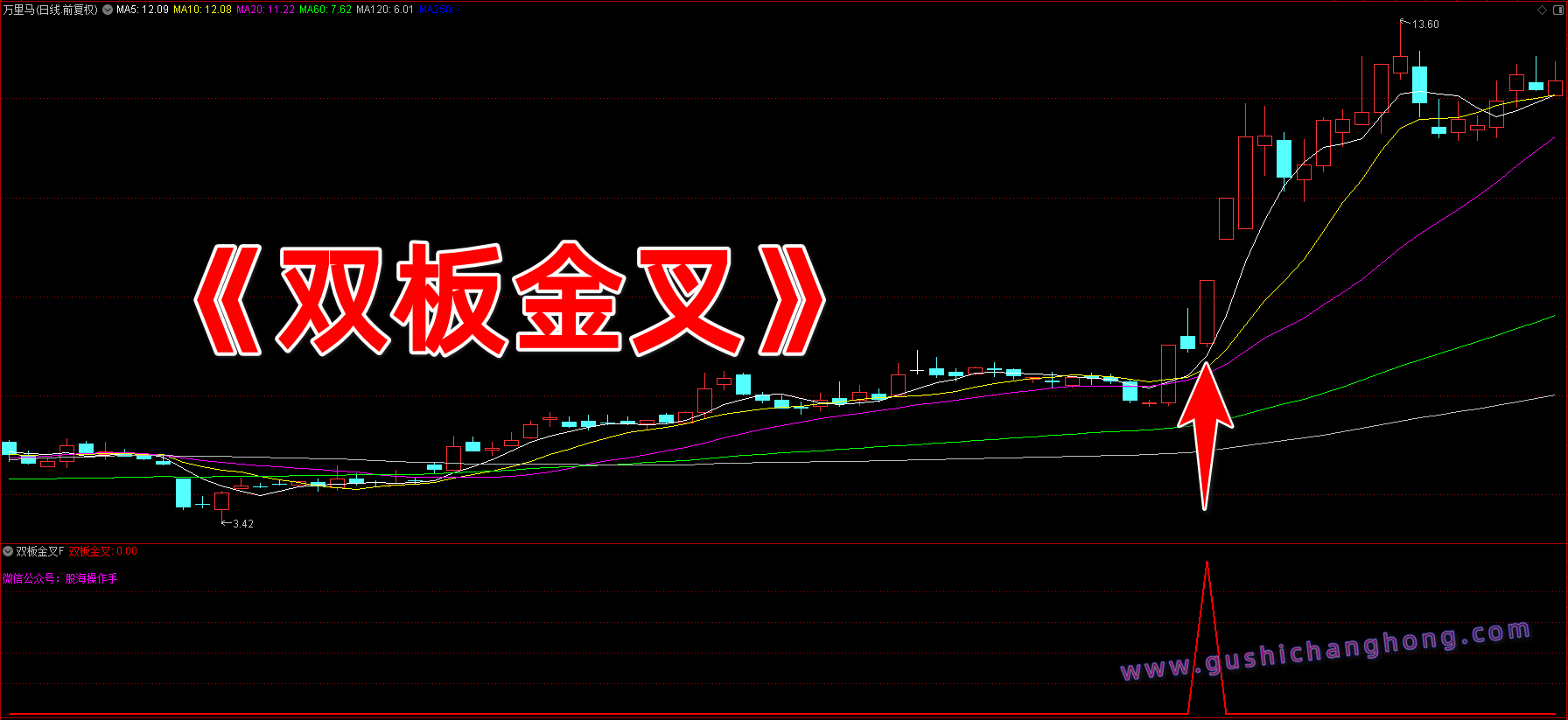 双板金叉指标