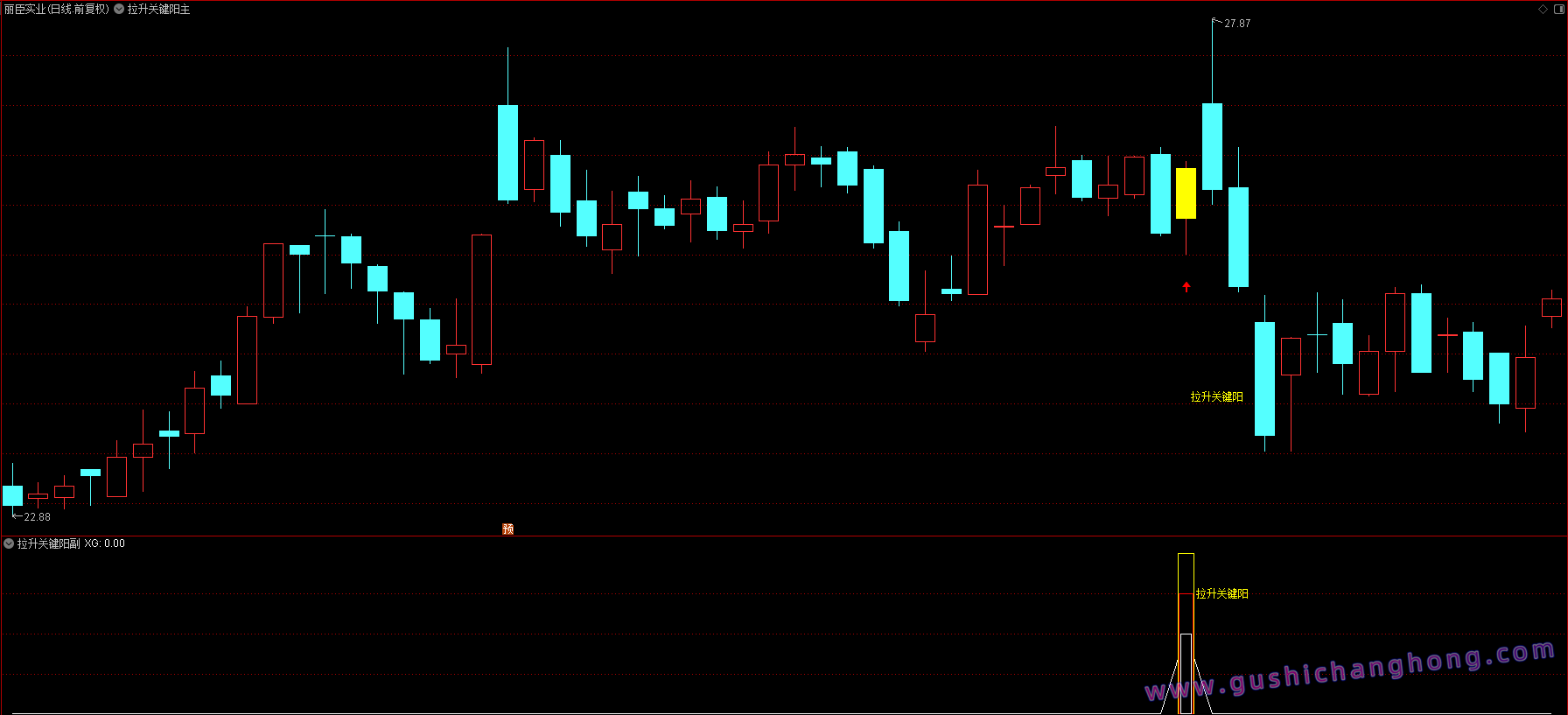 拉升关键阳指标