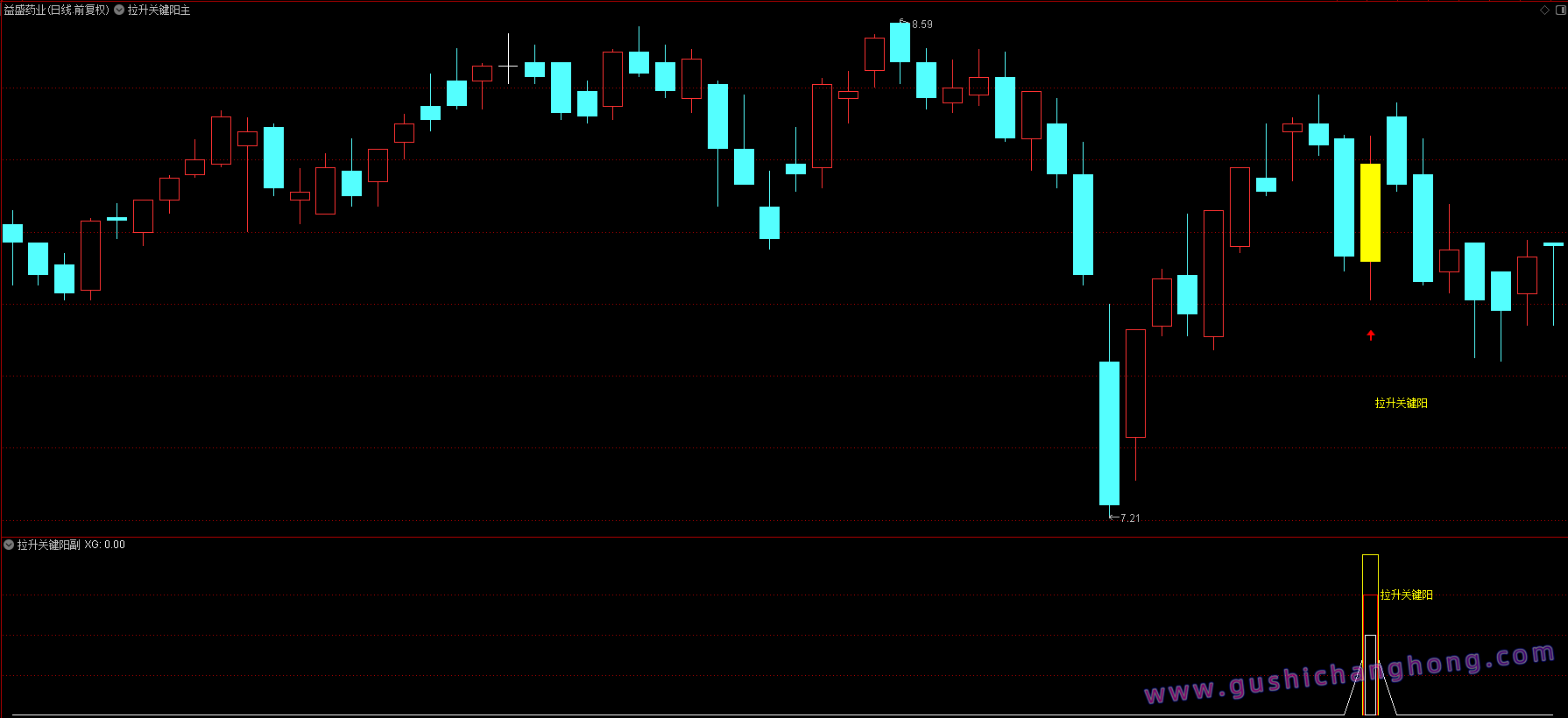 拉升关键阳指标