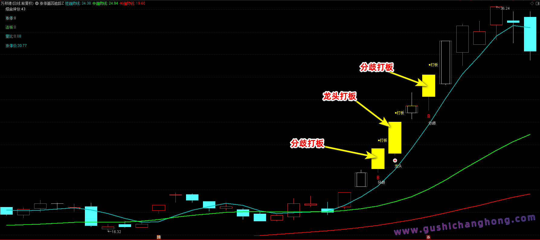 涨停基因追踪指标