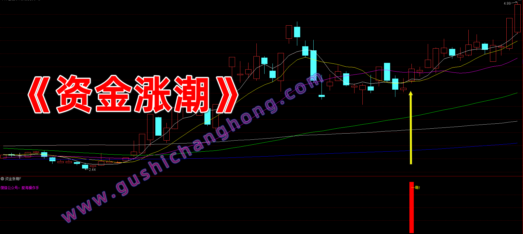 资金涨潮指标