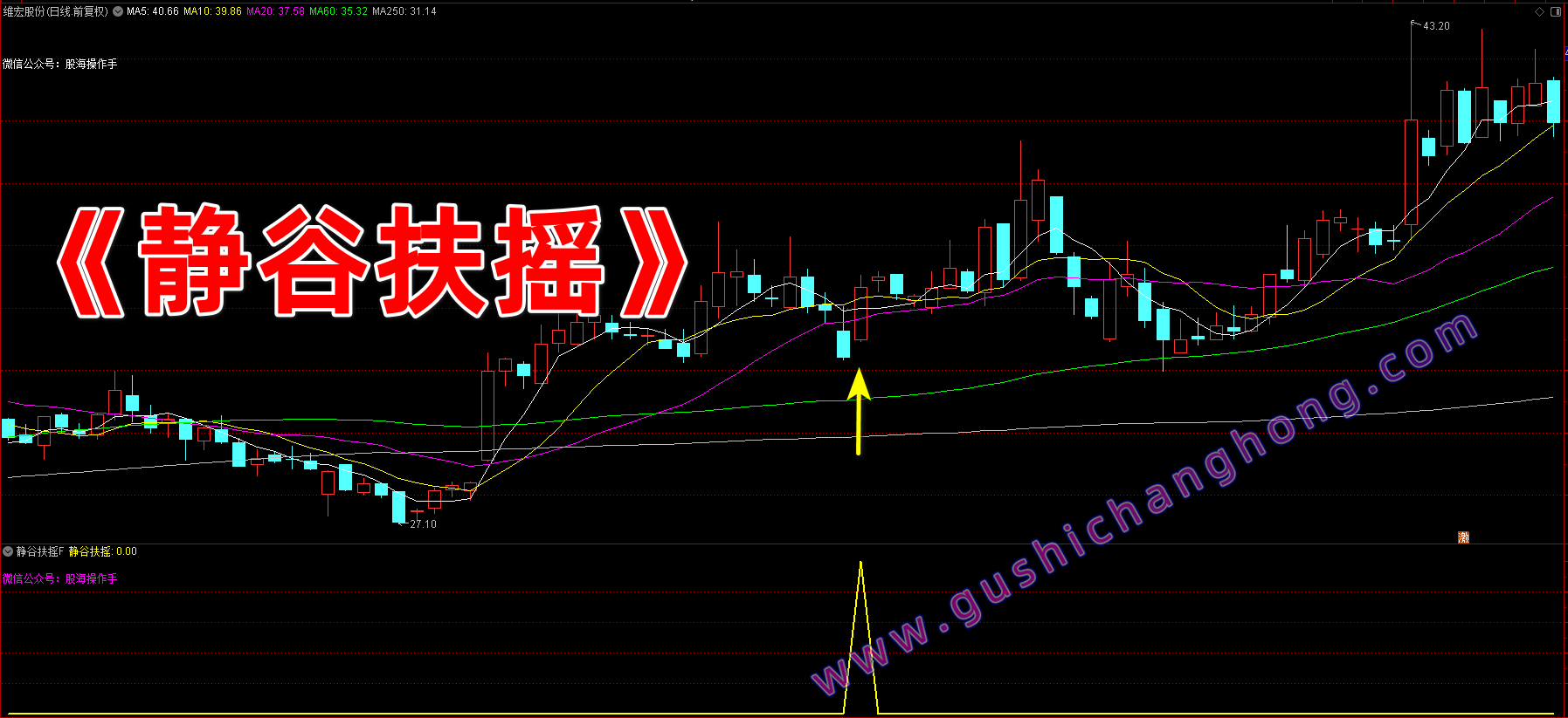 静谷扶摇指标 静谷扶摇指标