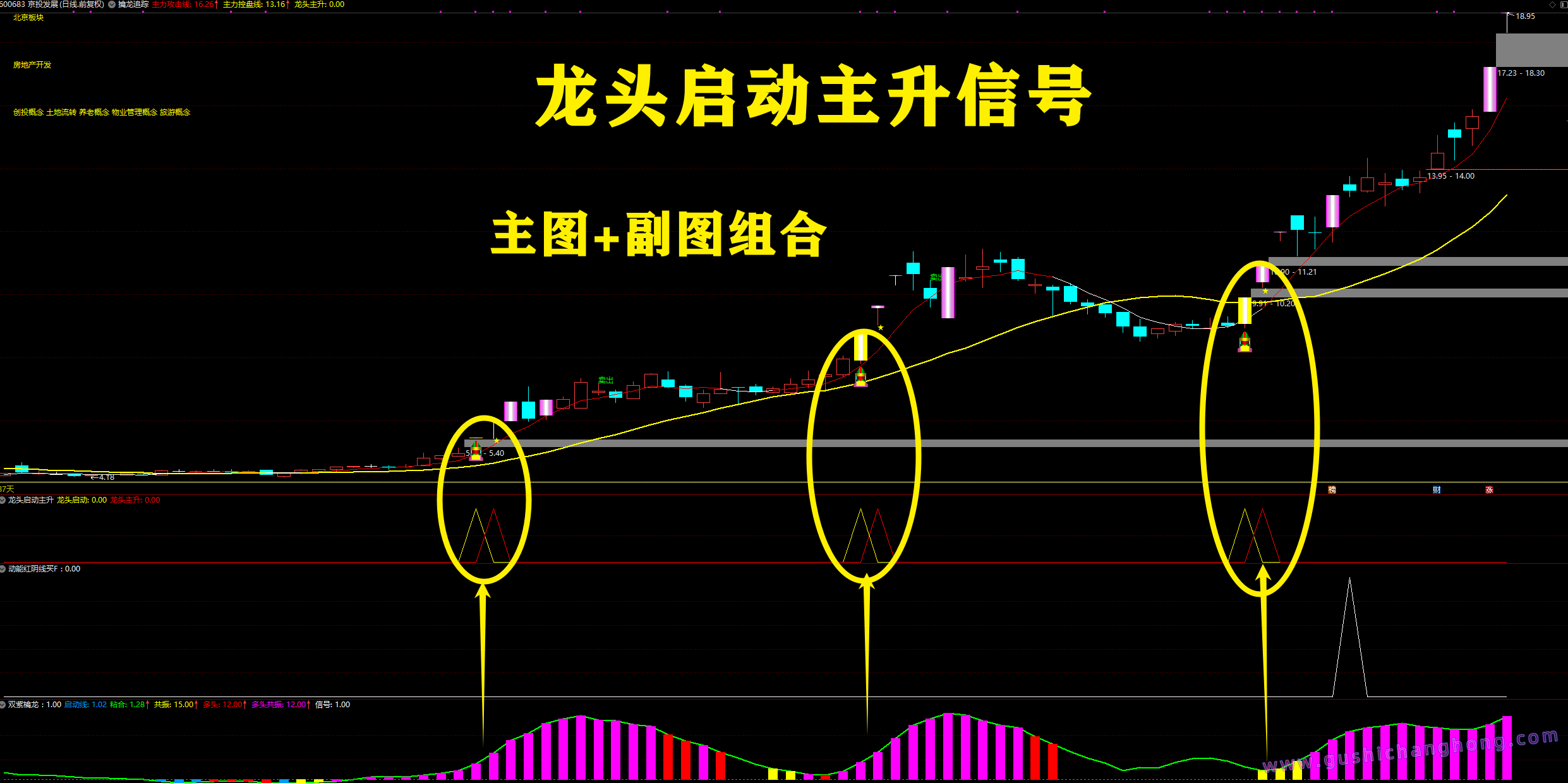 2026双紫擒龙指标 2026双紫擒龙指标