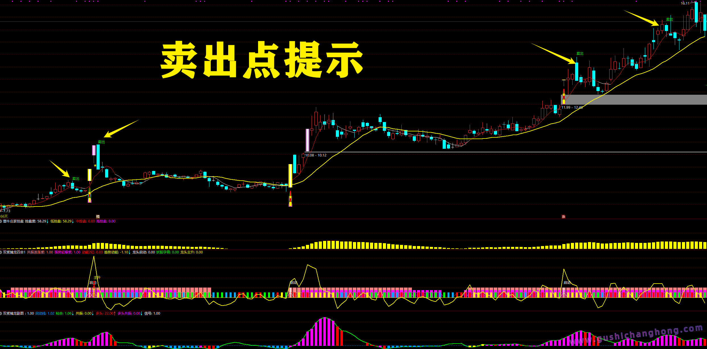 2026双紫擒龙指标 2026双紫擒龙指标