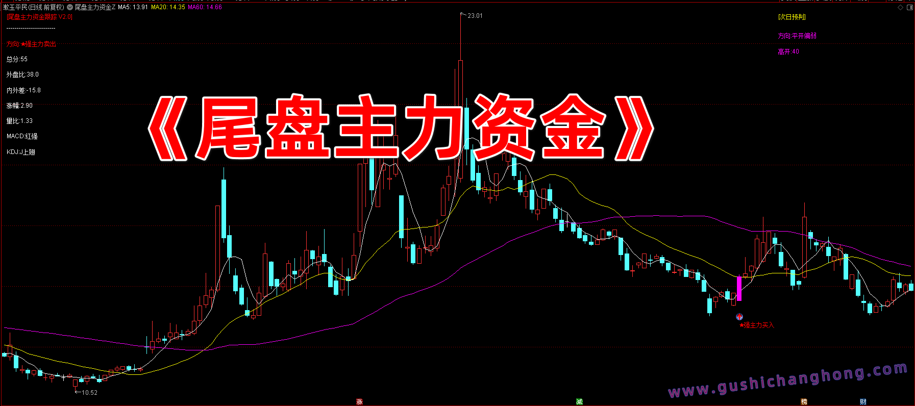 尾盘主力资金跟踪指标
