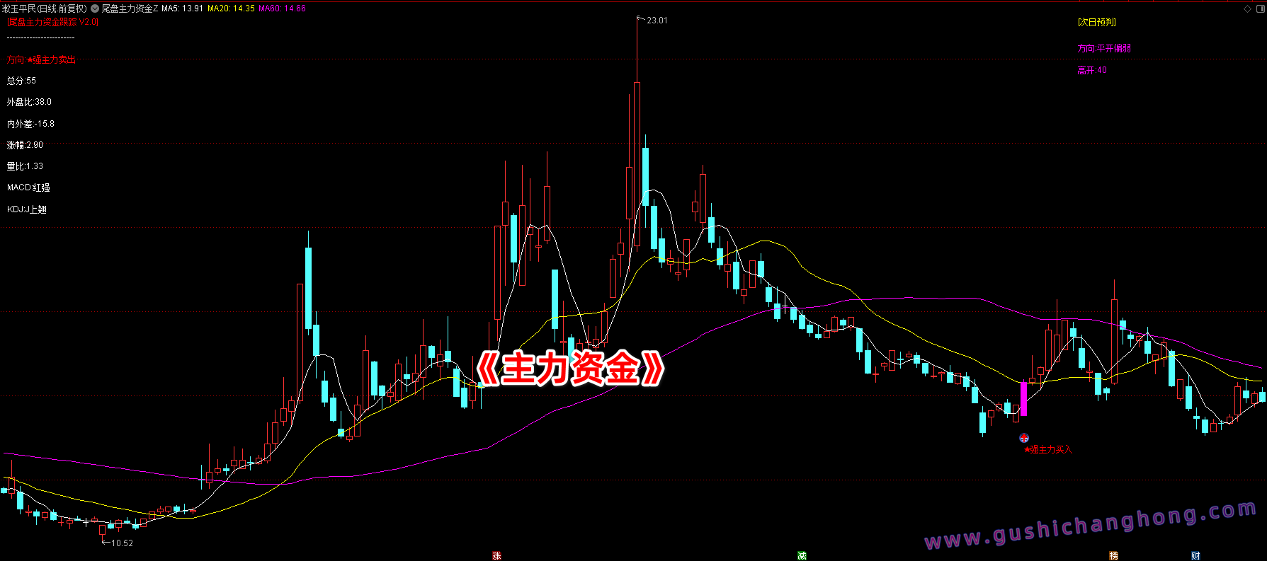 尾盘主力资金跟踪指标