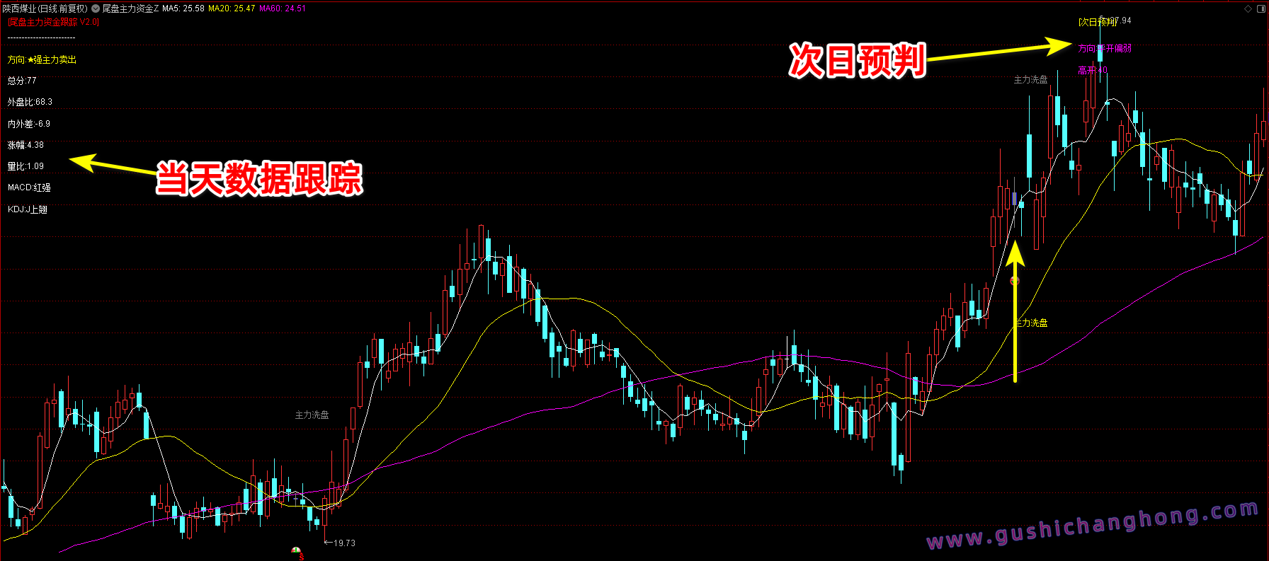 尾盘主力资金跟踪指标