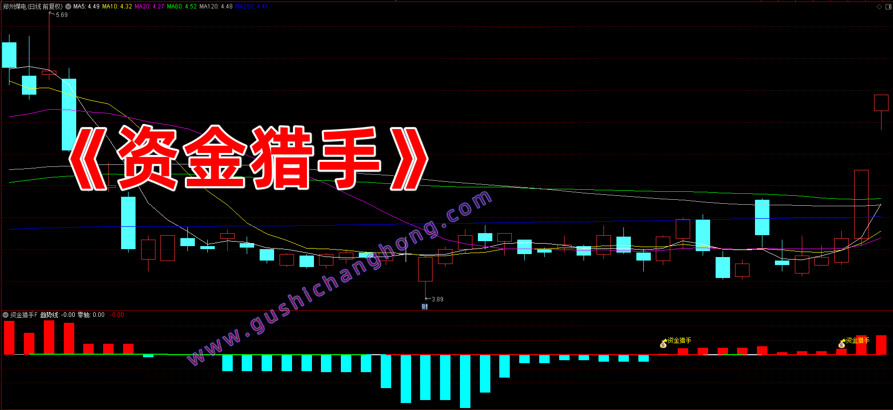 资金猎手指标