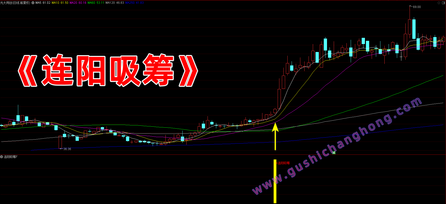 连阳吸筹指标