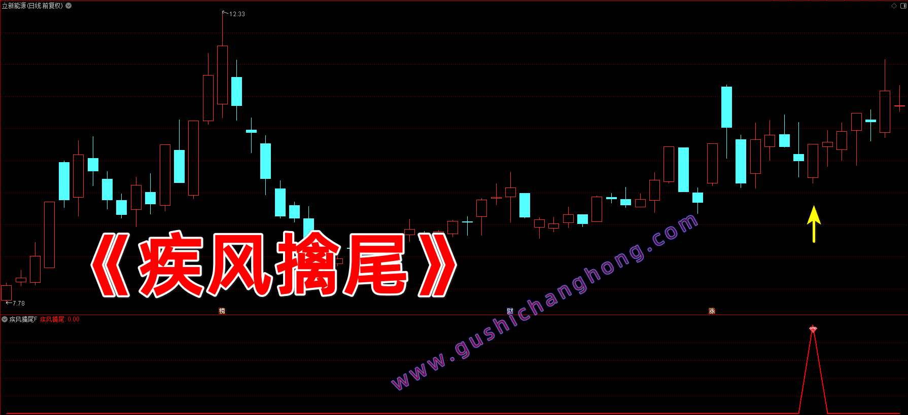 疾风擒尾指标 疾风擒尾指标