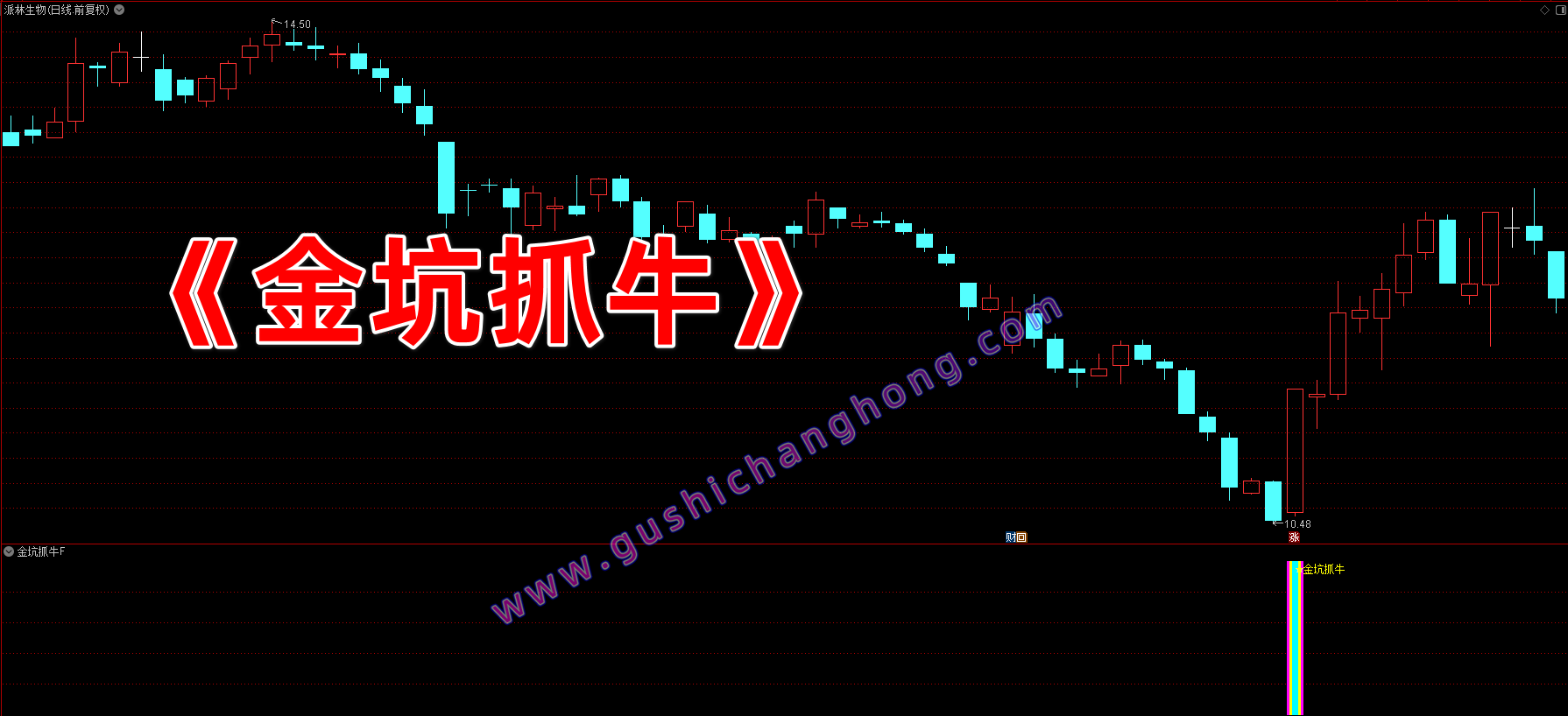 金坑抓牛指标 金坑抓牛指标