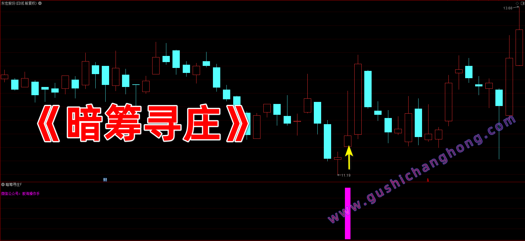 暗筹寻庄指标