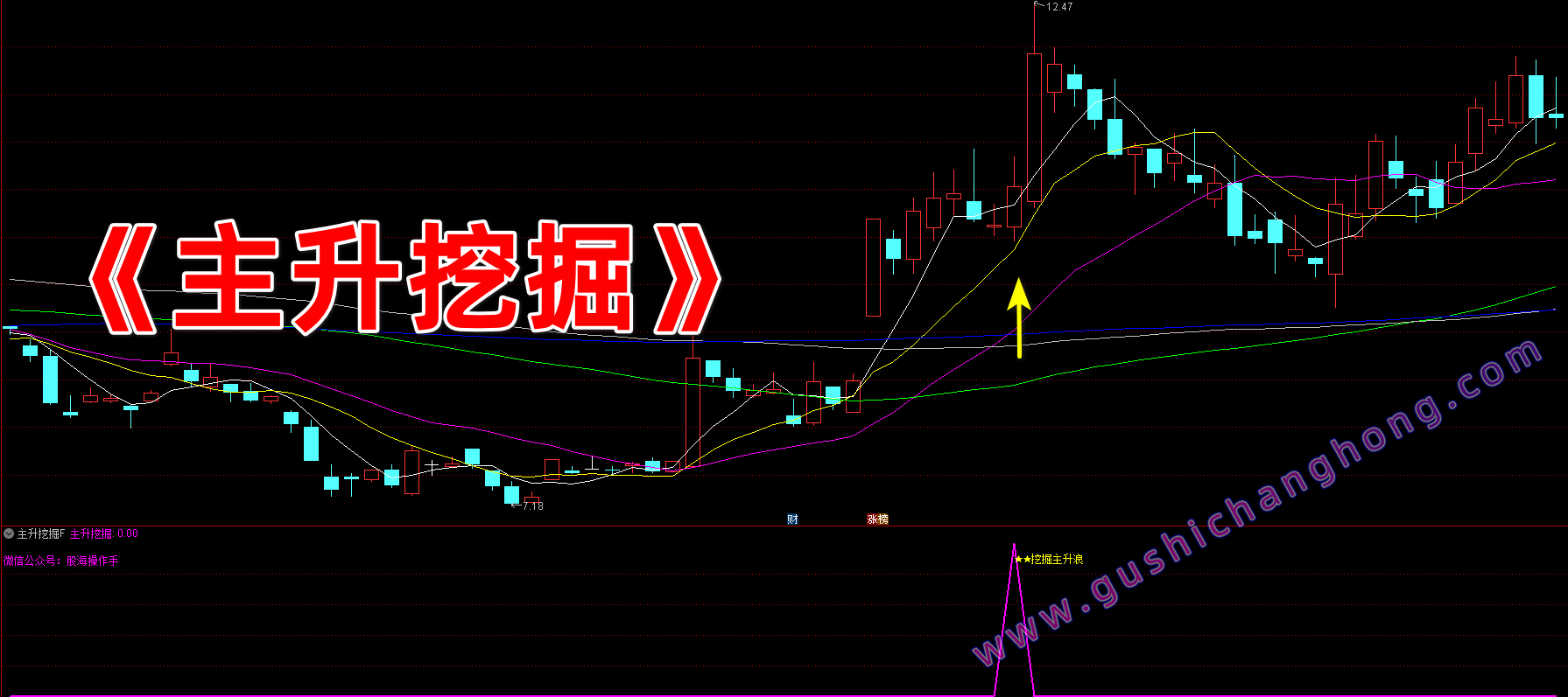 主升挖掘指标